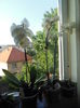 DSCN8135