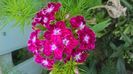 WP_20160518_14_46_27_Pro