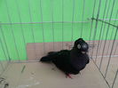 SAM_1411