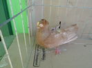 SAM_1436