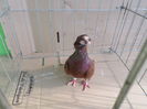 SAM_1448