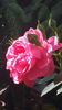 20160518_170940