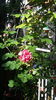 20160518_170904