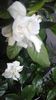 20160518_183707
