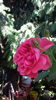 20160518_114158