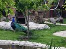20160518_142652