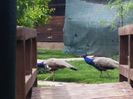 20160518_142629
