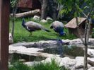 20160518_142623