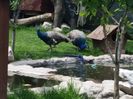 20160518_142622