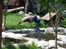 20160518_142618