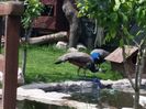 20160518_142550