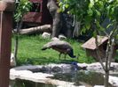 20160518_142548