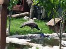 20160518_142541