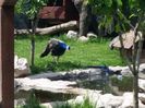 20160518_142506