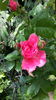 20160517_124725