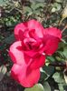 20160518_181649