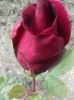 20160518_181024