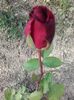 20160518_181008