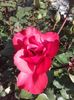 20160518_180531