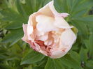 P1270202