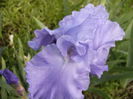 P1270187