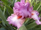 P1270193