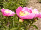 P1270405