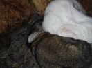 IMG_20160518_191307