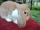 IMG_20160518_190210
