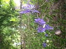 IMGP9297