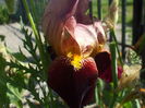 DSCF8428