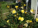 DSCF8439