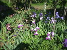 DSCF8448