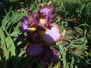 DSCF8449