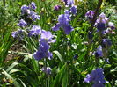 DSCF8458