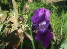 DSCF8460