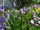 DSCF8466
