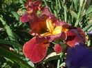 DSCF8472