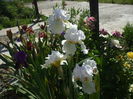 DSCF8474