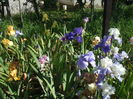 DSCF8476