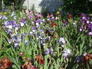 DSCF8481