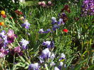 DSCF8490