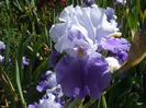 DSCF8493