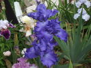 DSCF8529