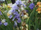 DSCF8539