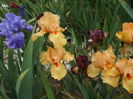 DSCF8542
