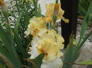 DSCF8543