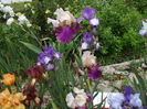 DSCF8546