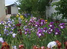 DSCF8550