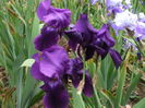 DSCF8554